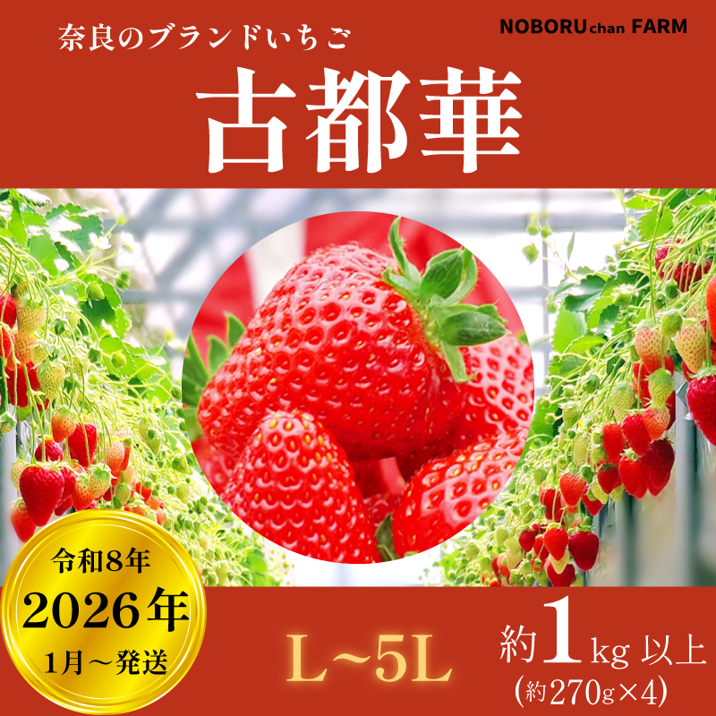 y s\ / ʌ z  1kg ȏ ( 270g × 4P ) VN Yn I y2026N1ȍ~z { uh C`S  Ós t[c ʕ  Y  嗱 Yn _  tb