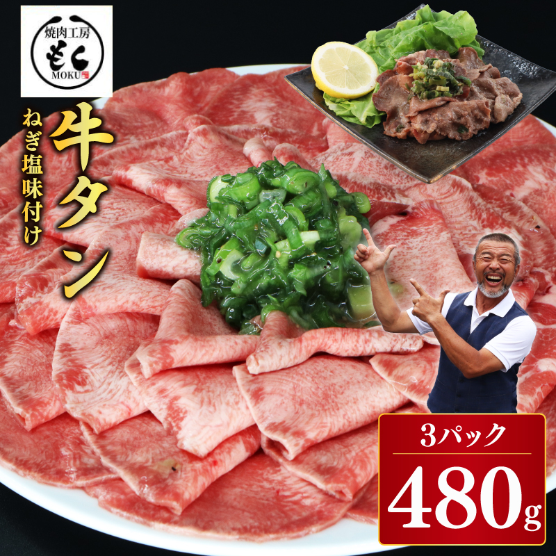 ねぎ塩牛タン 480g 牛肉 味付け おいしい 小分け 個包装 冷凍 焼肉工房もく 9-018奈良県奈良市9000肉