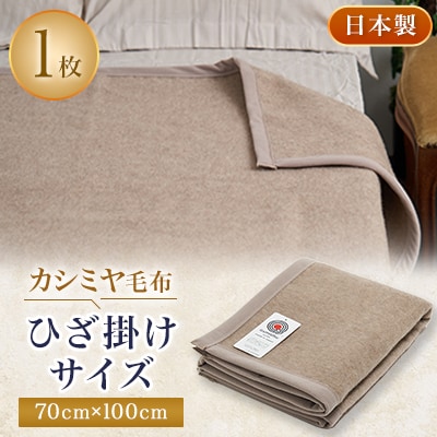 カシミヤ毛布 ひざ掛けサイズブランケット 70cm×100cm【1253542】大阪府忠岡町18000雑貨・日用品寝具・タオル