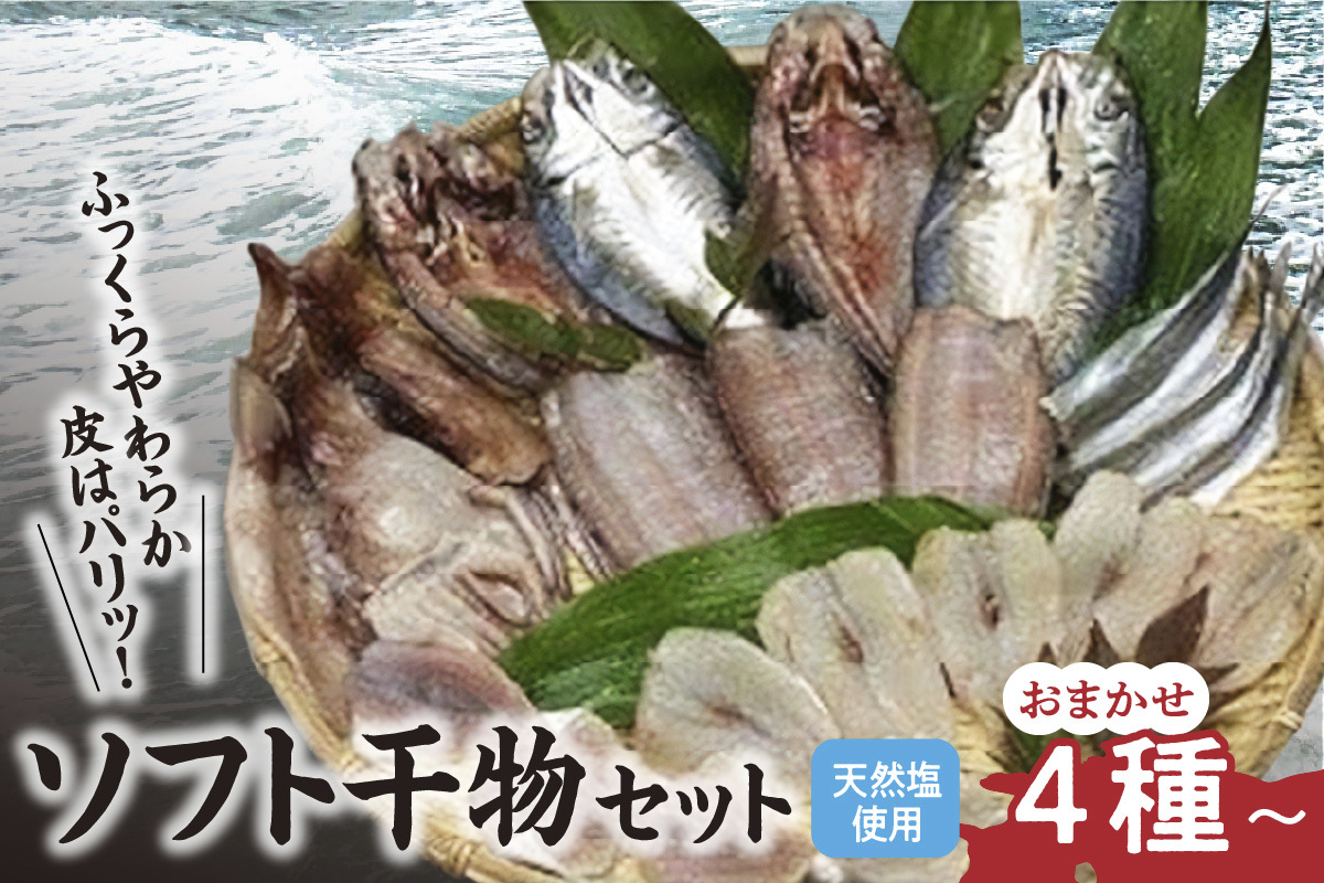 0012-C-054 新鮮ソフト干物セット岡山県備前市12500魚介・海産物干物