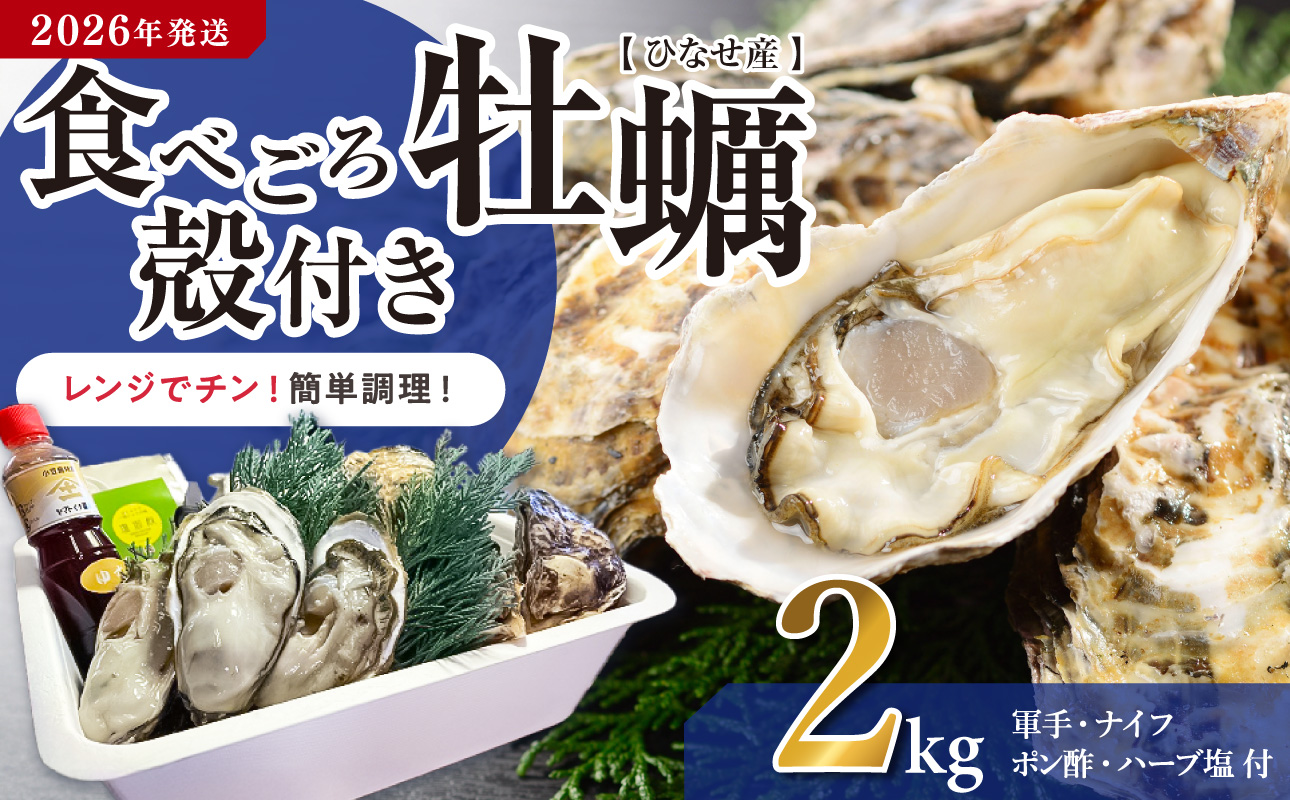 【2026年発送】ひなせ産 牡蠣 【レンジでチン】食べごろ殻付き牡蠣岡山県備前市13000魚介・海産物貝類