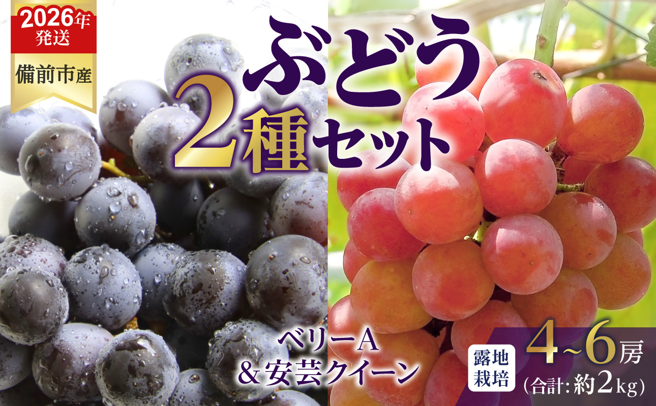 【2026年発送分 先行受付開始!】びぜん葡萄「ベリーA」「安芸クイーン」2種セット(露地栽培)約2kg(令和8年9月上旬〜9月中旬頃発送)【 岡山県備前市産 ベリーA 安芸クイーン 露地栽