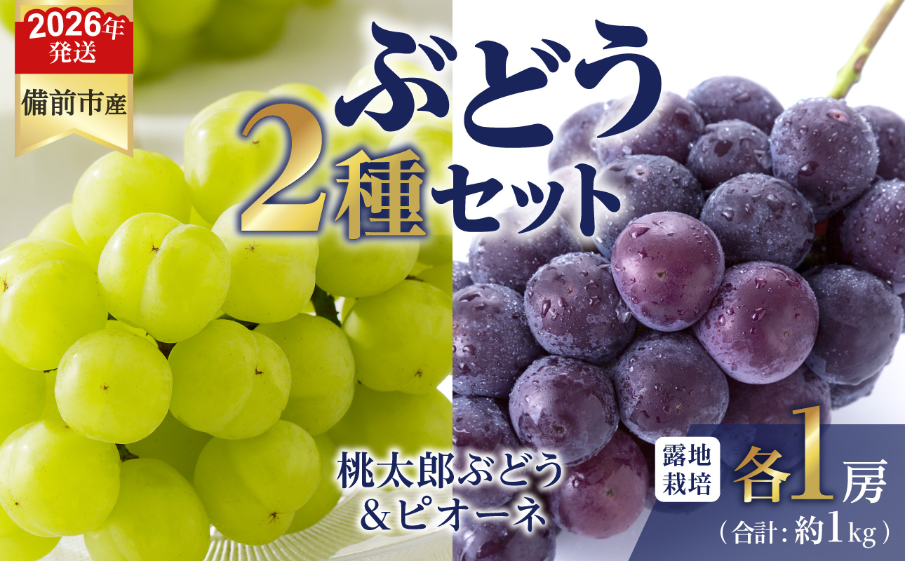 【2026年発送分 先行受付開始!】びぜん葡萄「桃太郎ぶどう」「ピオーネ」(露地栽培)各1房入(令和8年8月中旬〜9月中旬頃発送)【 岡山県備前市産 桃太郎ぶどう ピオーネ 露地栽培 各1