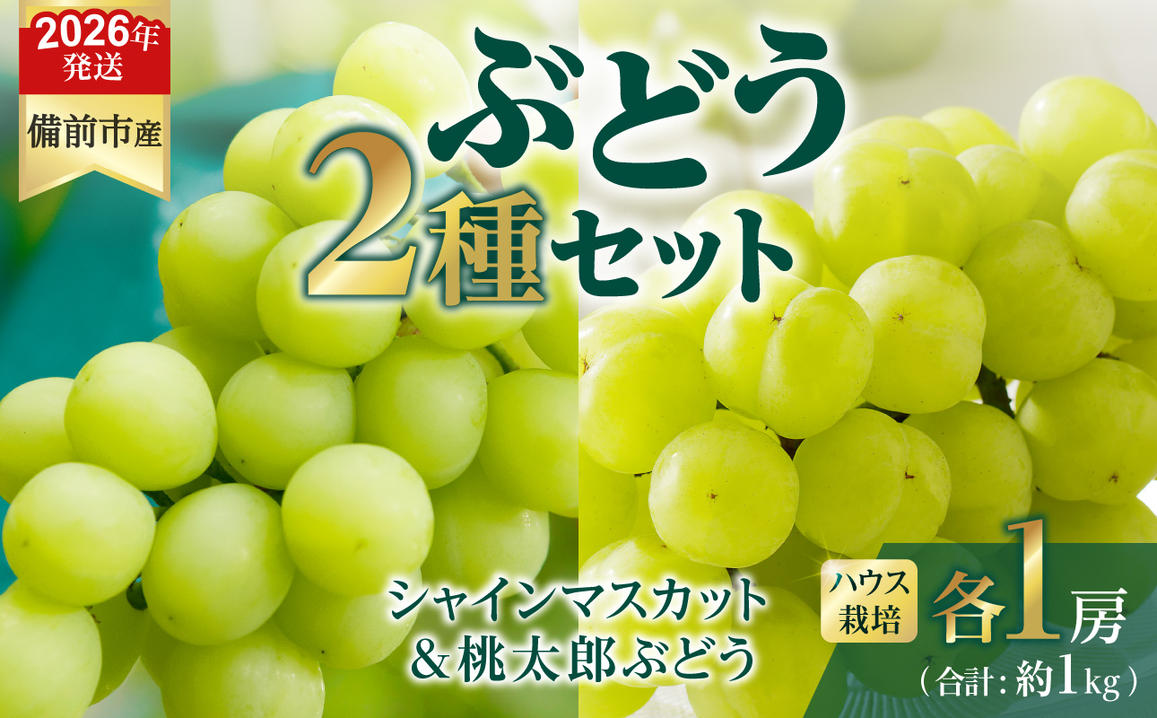 【2026年発送分 先行受付開始!】びぜん葡萄「シャインマスカット」「桃太郎ぶどう」(ハウス栽培)各1房入(令和8年8月中旬〜9月中旬頃発送)【 岡山県備前市産 シャインマスカット 桃