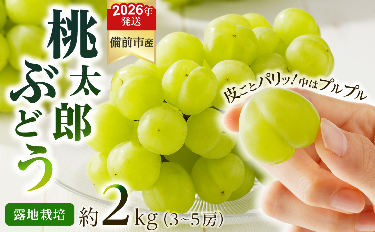 【2026年発送分 先行受付開始!】びぜん葡萄「桃太郎ぶどう」(露地栽培)約2kg入(令和8年9月上旬〜10月中旬頃発送)【 岡山県備前市産 桃太郎ぶどう 露地栽培 約2kg入 (3〜5房目安) 樹上完