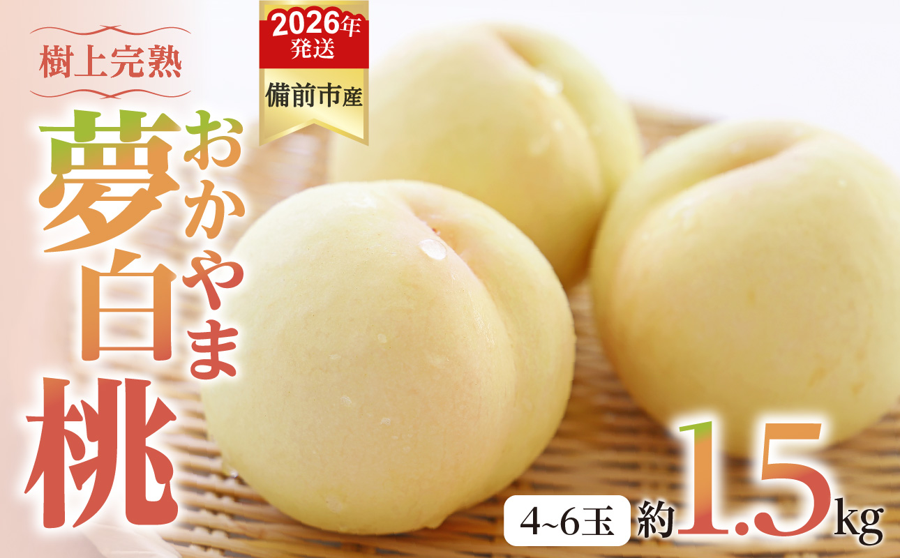 【2026年発送分 先行受付開始!】びぜん白桃 おかやま夢白桃 約1.5kg(令和8年7月中旬〜7月下旬頃発送)【岡山県備前市産 おかやま夢白桃 約1.5kg(4〜6玉目安)】岡山県備前市29500果物