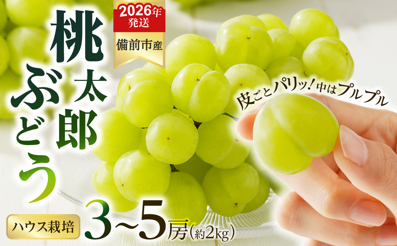【2026年発送分 先行受付開始!】びぜん葡萄「桃太郎ぶどう」(ハウス栽培)約2s入(令和8年8月中旬〜9月中旬頃発送)【 岡山県備前市産 桃太郎ぶどう 果物 フルーツ ハウス栽培 約2kg (
