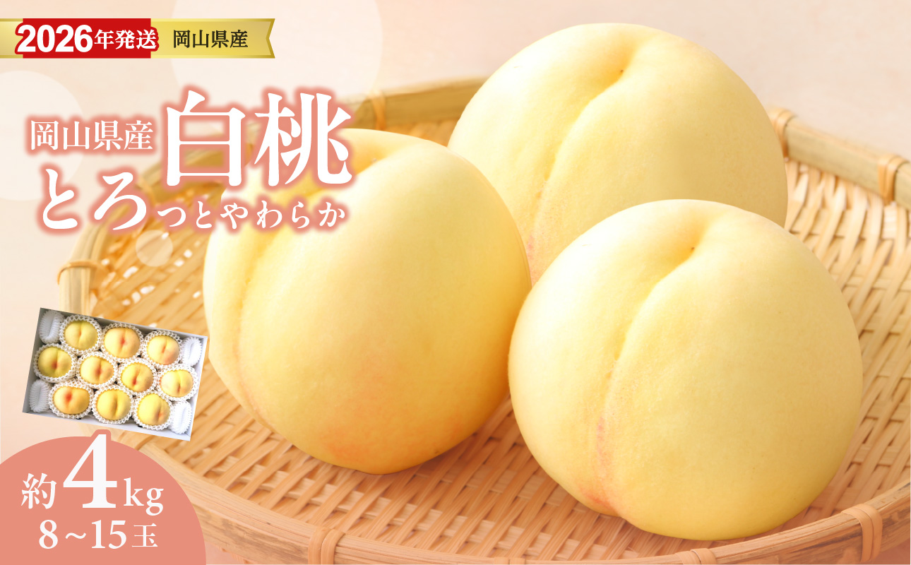 【2026年発送分 先行受付スタート!】岡山県産 白桃 約4kg(8〜15玉)(令和8年7月以降発送)【 白桃 フルーツ 果物 くだもの もも 桃 モモ 岡山県産 】hz-m岡山県備前市46000果物・フルーツもも