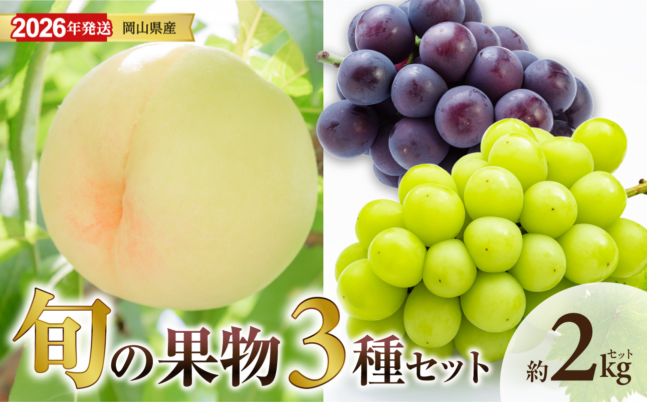 【 2026年発送 】岡山県産白桃 ロイヤル&シャインマスカット&ピオーネ 約2kgセット(令和8年6月中旬〜8月上旬発送)【 白桃 糖度最上級 もも フルーツ モモ ロイヤル シャインマスカット