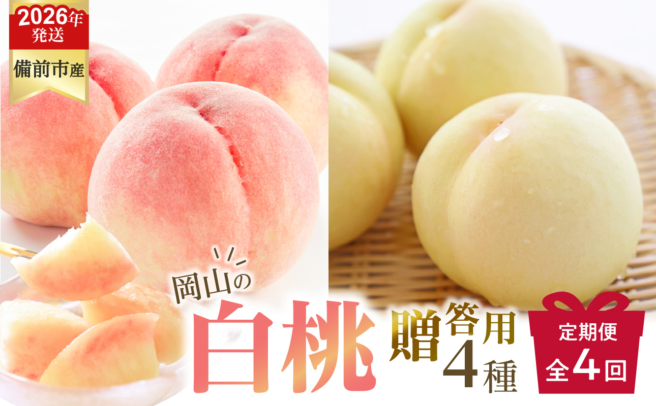 【2026年発送分 先行受付開始!】【定期便】びぜん白桃 贈答用セット 約1.5kg×4回発送(令和8年6月下旬〜7月頃発送)【 岡山県備前市産 樹上完熟白桃  約1.5kg(5〜7玉目安)×4回発送 贈答