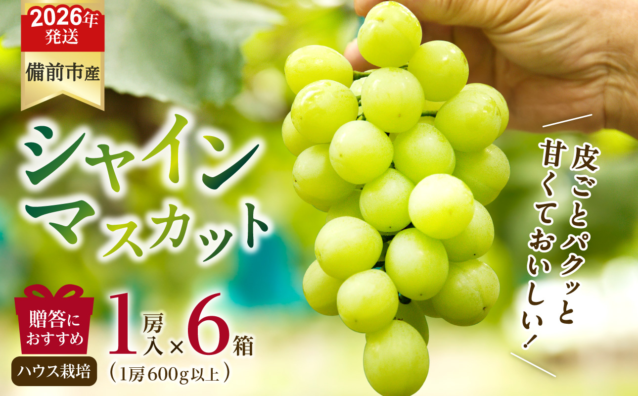 【2026年発送分 先行受付開始!】びぜん葡萄「シャインマスカット」(ハウス栽培)1房入×6箱セット(令和8年8月中旬〜9月中旬頃発送)【 岡山県備前市産 シャインマスカット ハウス栽培