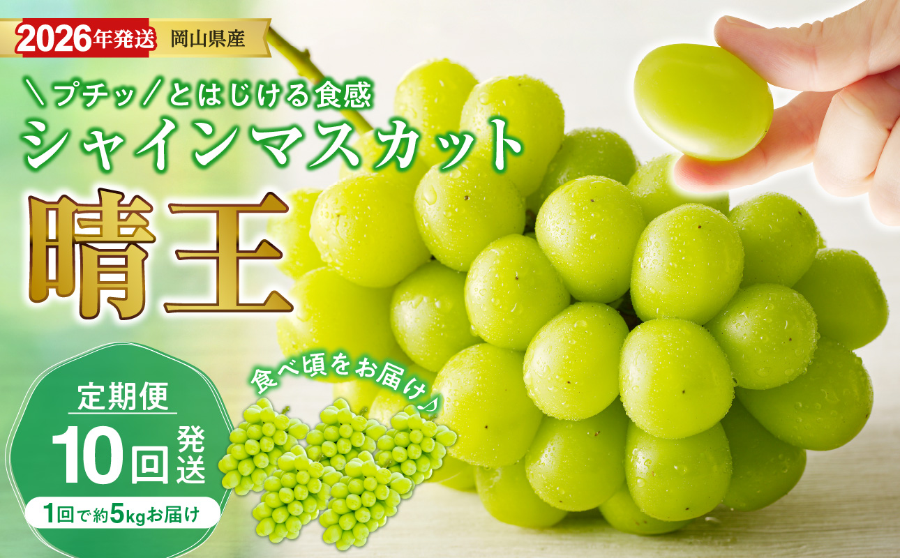 y2026N stX^[gIzyցzRYVC}XJbguv@Gi@[i5kgE5`9[ڈj×10񔭑iߘaWN7ȍ~jy VC}XJbg  t