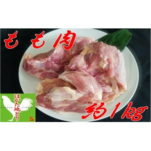 ͂nǂ  (1kg)yA5-263zђˎs15000{