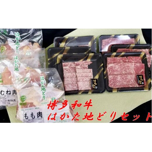a ͂nǂ oGeB[ZbgyE-050zђˎs50000{
