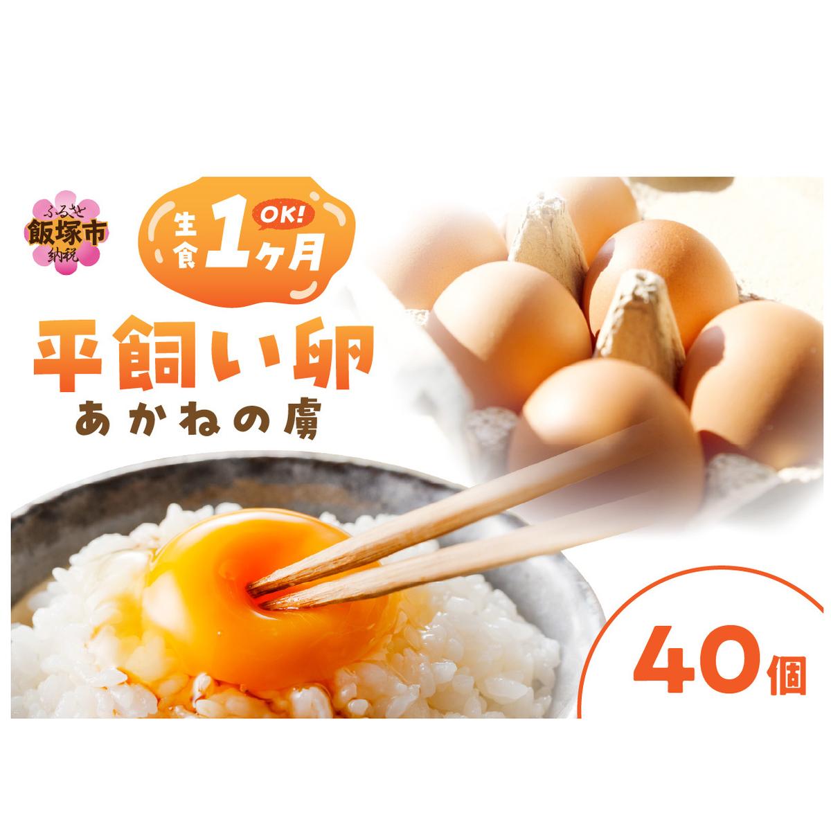 qr˂̗i40jyB-182zђˎs20000Eii{AG{j