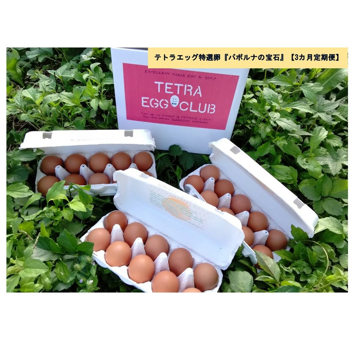 テトラエッグ特選卵『バボルナの宝石』(30個/月)【3カ月定期便】【B9-009】福岡県飯塚市29000卵・乳製品卵(鶏、烏骨鶏等)