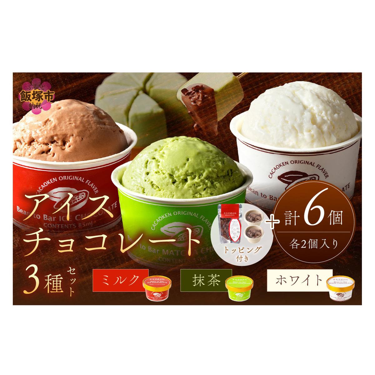 カカオ研究所 アイスチョコレートセット(6個入り)【B5-049】福岡県飯塚市25000卵・乳製品その他卵・乳製品