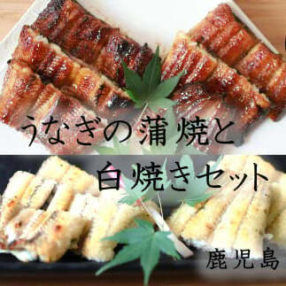 鹿児島産うなぎの蒲焼と白焼きセット 2尾【B7-034】福岡県飯塚市27000魚介・海産物うなぎ