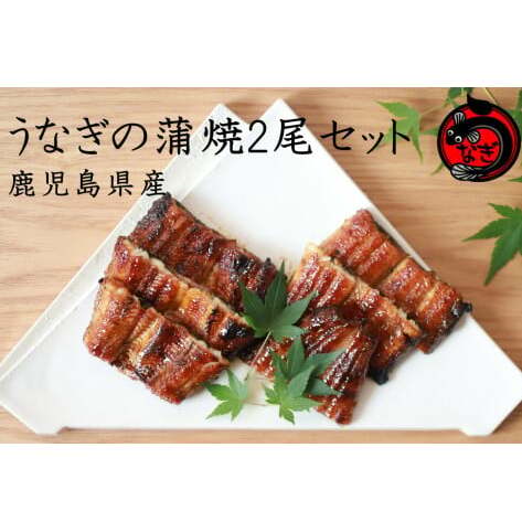 鹿児島産うなぎの蒲焼2尾セット【B7-032】福岡県飯塚市27000魚介・海産物うなぎ