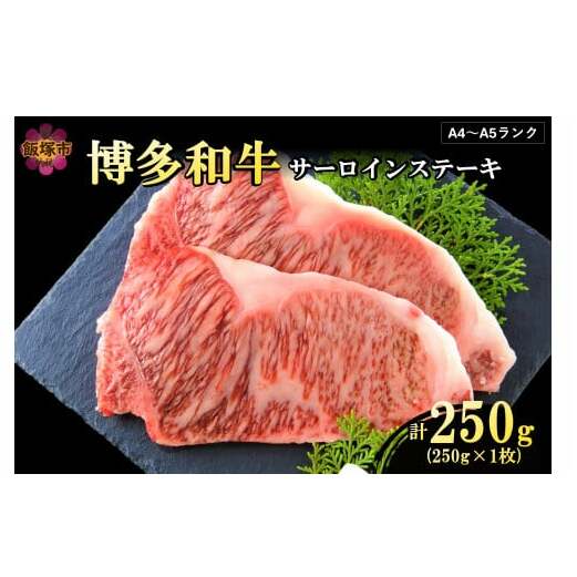 yA4-A5NzaT[CXe[L 250gyA3-081zђˎs13000