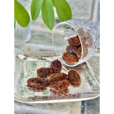 Y@Ԃǂ()ƒp@2pbNy1502748zɌ_͒9000ʕEt[chCt[c