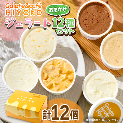 【兵庫県神河町発】ジェラート【おまかせ】詰め合わせ 90ml×12個【配送不可地域:離島】【1671497】兵庫県神河町20500菓子・スイーツアイス・ジェラート