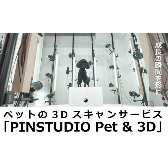 ペットの3Dスキャンと3Dフルカラープリントによる造形(フィギュア)長辺13cm東京都中野区367000衣類・装飾品・工芸品その他 装飾品・工芸品