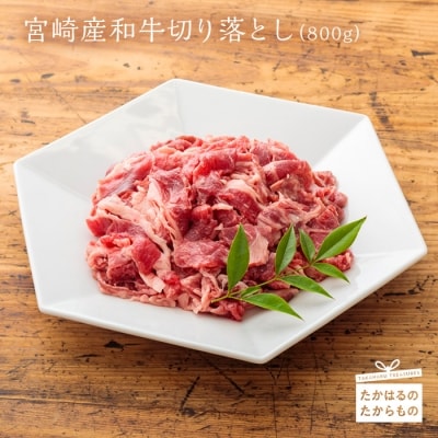 宮崎県産和牛切落とし(800g) TF0277-P00020宮崎県高原町10000肉牛肉