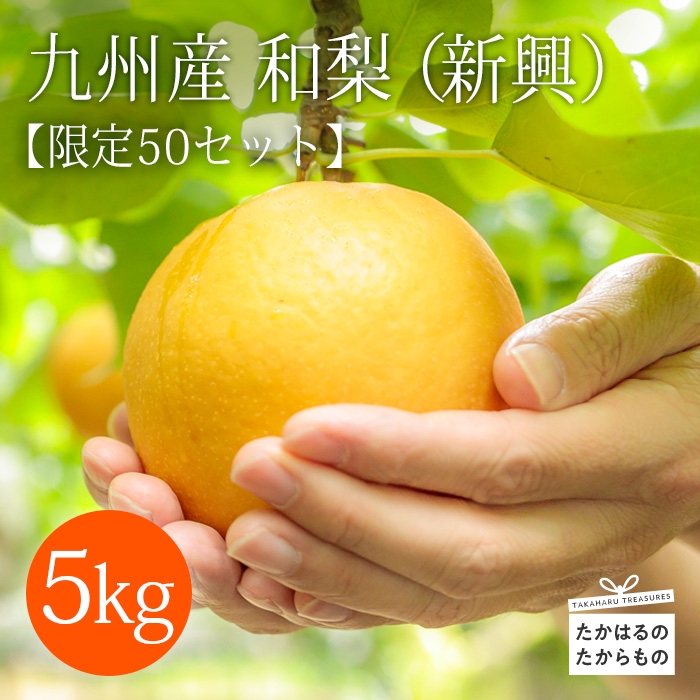 九州産 和梨「新興(しんこう)」 5kg TF0326-P00025宮崎県高原町13000果物・フルーツりんご・梨