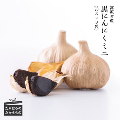 黒にんにくミニ TF0351-P00032宮崎県高原町10000野菜・きのこ