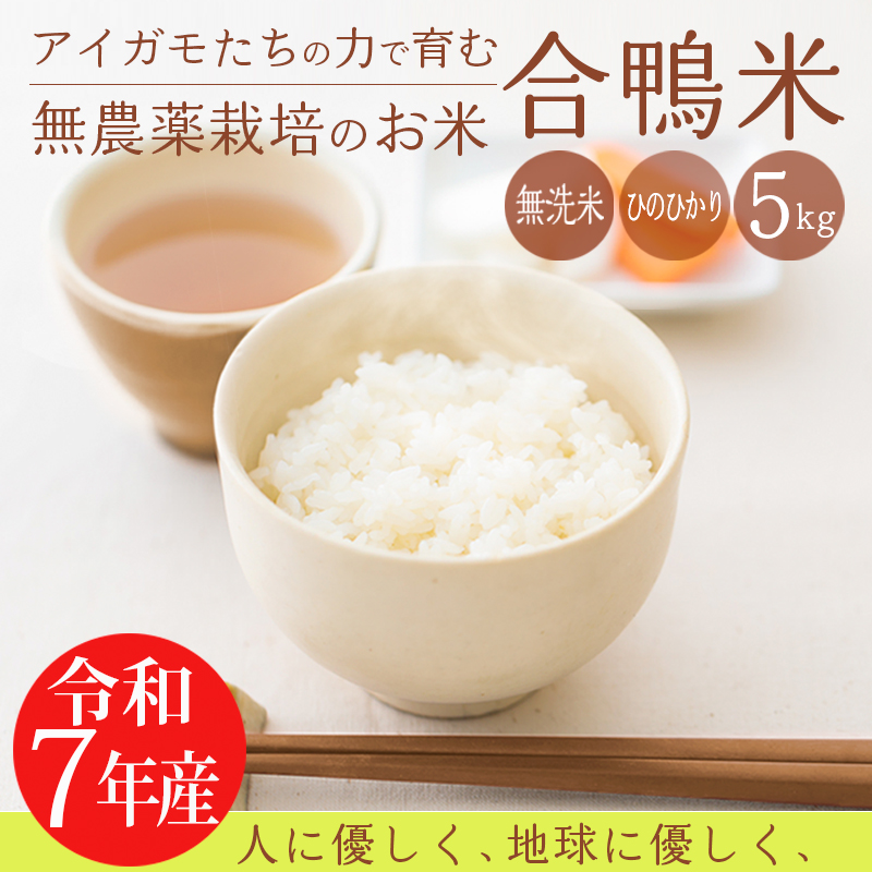 yߘaVNYzV _͔|̍ Ђ̂Ђ()5kg [2025NY XgbvIC] TF0422-P00029{茧22000āEp