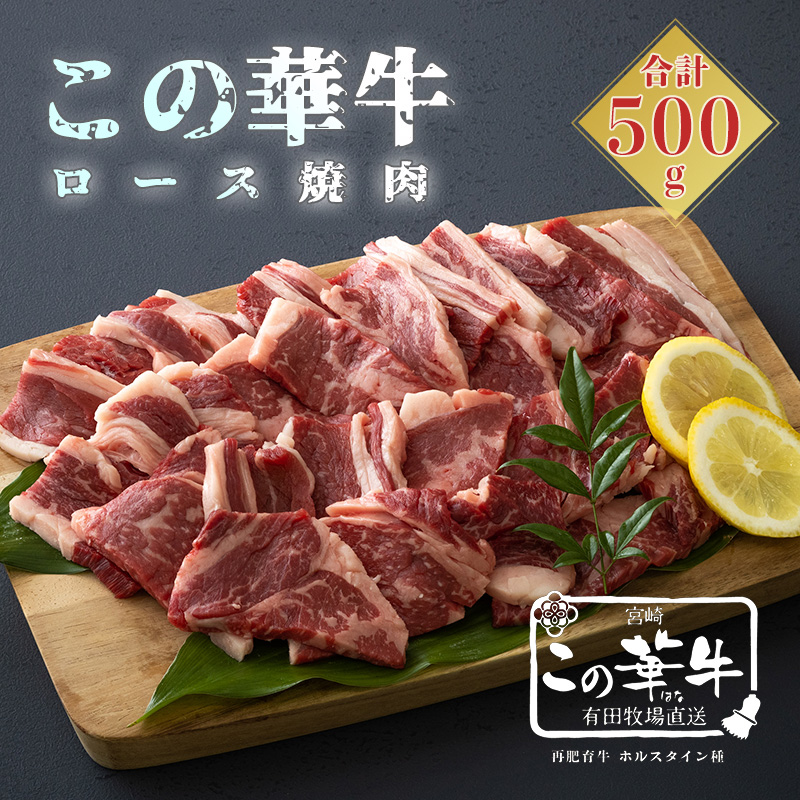 Lcq꒼ ̉؋ [Xē (500g) TF0460-P00037{茧13000
