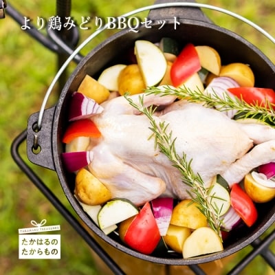より鶏みどりBBQセット TF0474-P00033宮崎県高原町15000肉