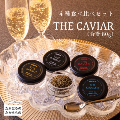 THEECAVIAR(4Hה׃Zbg) v80g TF0551-P00066{茧173000ECYqȆ