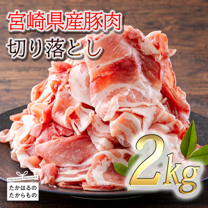 s10pbNt{Yؓ̐؂藎Ƃ(v2kg) Hシɔ [l炵 ؓ  wԗiW20000~ȉx-{茧] TF0553-P00020{茧10000