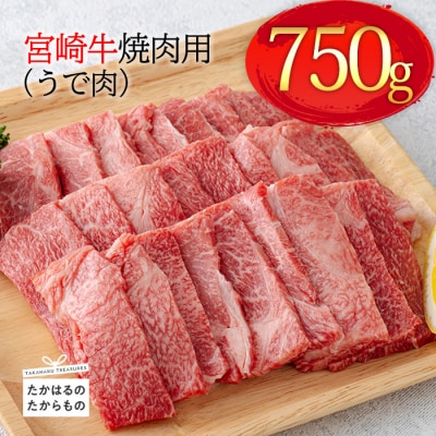宮崎牛焼肉用(うで肉)約750g TF0569-P00012宮崎県高原町15000肉