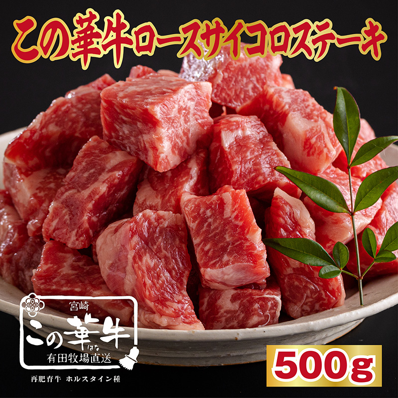 この華牛 サイコロステーキ 500g TF0618-P00037宮崎県高原町13000肉