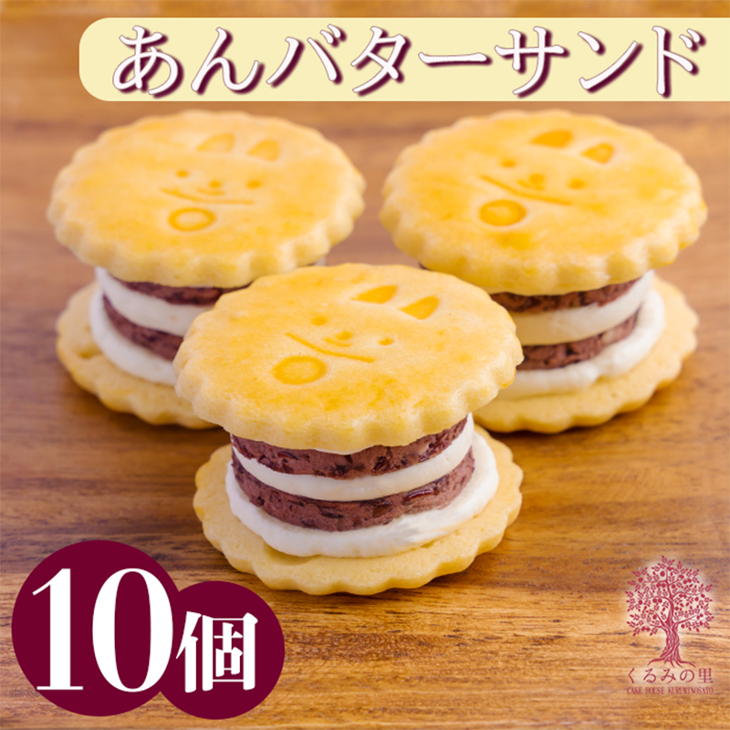 あんバターサンド 10個入り TF0637-P00010宮崎県高原町12000菓子・スイーツその他 和菓子