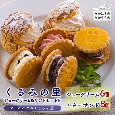 くるみの里シュークリーム&バターサンドセットB TF0677-P00010宮崎県高原町15000菓子・スイーツその他 洋菓子