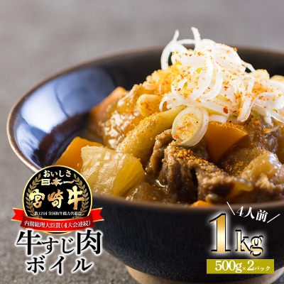 {荕јaALXi{Cj1kg(500g×2p) uḧ吶Yn{̏㎿Șa ł ύ X[v ȒP Z  y N[  ^pbN TF0705-P00020{茧10000