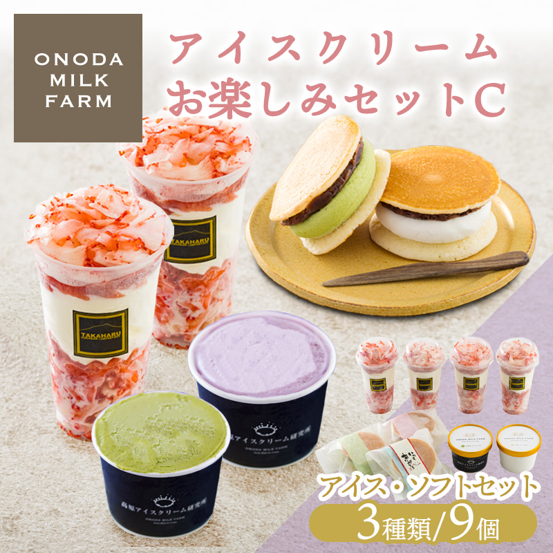 アイスクリームお楽しみCセット カップアイスやソフトアイス3種9個 詰め合わせ  TF0726-P00023宮崎県高原町15000菓子・スイーツアイス・ジェラート