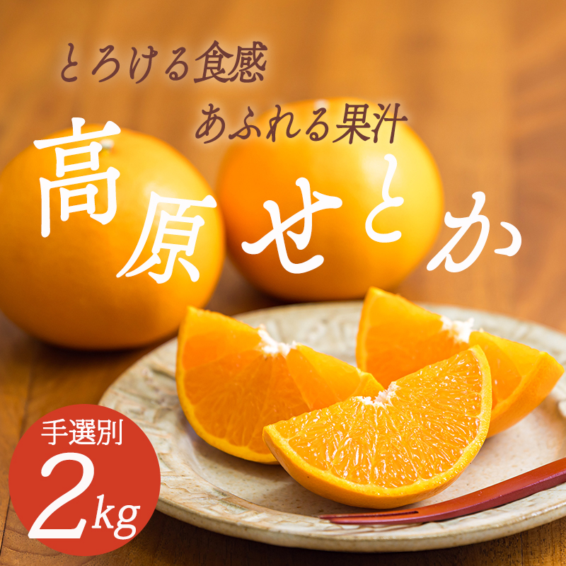 y100Zbgzḱggh YkuƂv 2kgi6`8ʁj [Ƃ k ݂  g  I] TF0746-P00068{茧15000ʕEt[c݂Ek