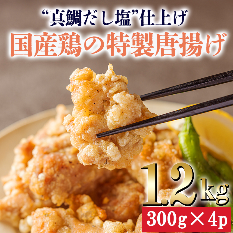 ^̂dĂ̍Y{̓g1.2kg [炠 g Ⓚy Z g] TF0802-P00064{茧15000