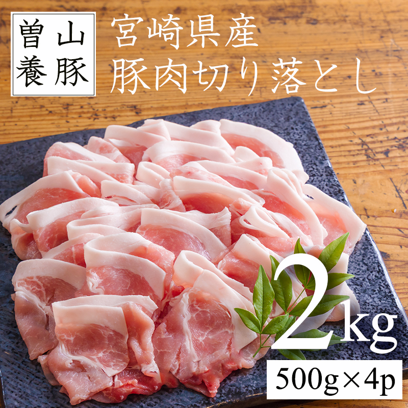 ]R{؂̌YؓƂ2kg(500g×4p)[XCX  e {茧Y XCX Ԃ IĂ Ⴊ J[  g {茧Y ؓ]TF0826-P00078{茧10000
