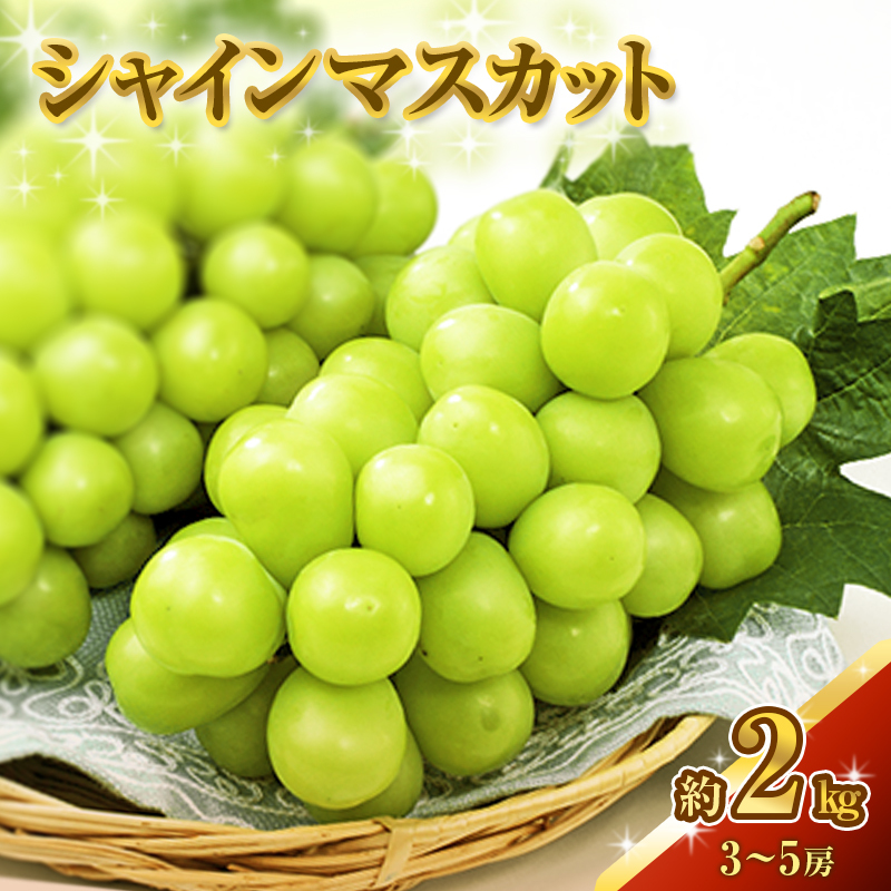 シャインマスカット 約2kg 3〜5房 ぶどう 葡萄 フルーツ 岡山 高梁市産 2025年 先行予約 果物類 果物 岡山県高梁市27000果物・フルーツマスカット・ぶどう