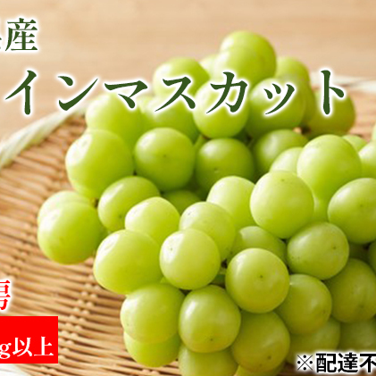 ぶどう 2024年 先行予約 シャイン マスカット 3房 合計2.1kg以上 マスカット ブドウ 葡萄 岡山県産 国産 フルーツ 果物 ギフト |  岡山県高梁市 | JRE MALLふるさと納税