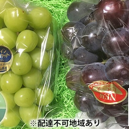 ぶどう食比べセット 2房 合計1kg前後 葡萄 フルーツ 岡山 高梁市産 ぜきお農園 ぶどうclub 2025年 先行予約 果物類 マスカット 果物 岡山県高梁市13000果物・フルーツマスカット・ぶどう