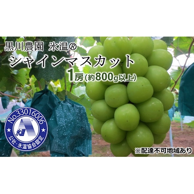 t Ԃǂ X(o^W) VC }XJbg 1[i800gȏj }XJbg uhE  RY Y t[c ʕ Mtg _ ʕ VC}XJbg Rs23000