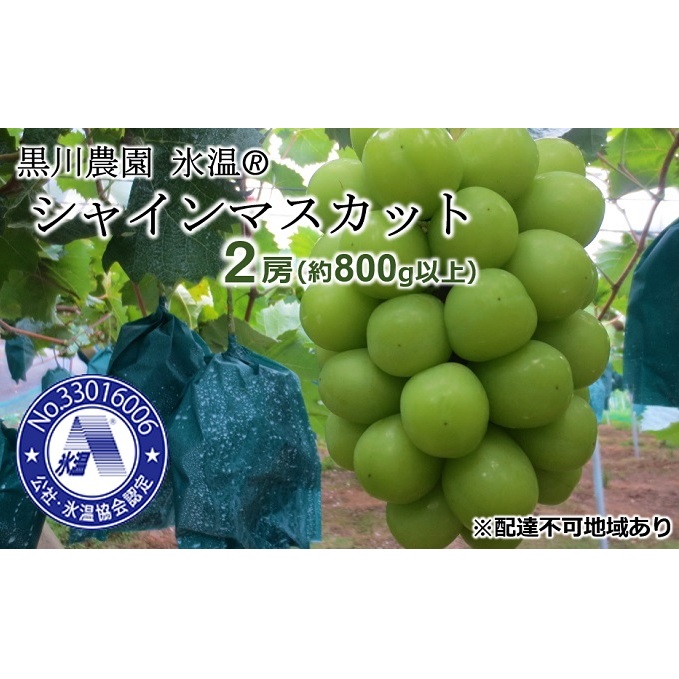 早期受付 ぶどう 氷温(登録商標) シャインマスカット 2房(1房800g以上) マスカット ブドウ 葡萄 岡山県産 国産 フルーツ 果物 ギフト 黒川農園 果物類 岡山県高梁市45000果物・フルーツマス