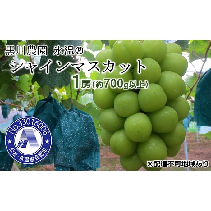 早期受付 ぶどう 氷温(登録商標) シャインマスカット 1房(700g以上) マスカット ブドウ 葡萄 岡山県産 国産 フルーツ 果物 ギフト 黒川農園 果物類 岡山県高梁市19000果物・フルーツマスカッ